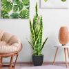 1PC 35.5 inches Indoor and Outdoor Decoration Fake Snake Plant Artificial Plant